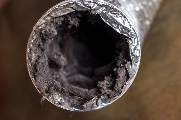 Best Professional Duct Cleaning Services  in Druid Hills, GA