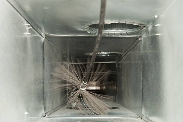 Best Professional Duct Cleaning Services  in Druid Hills, GA
