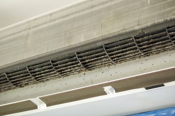 Best Best Air Duct Cleaning Company  in Druid Hills, GA